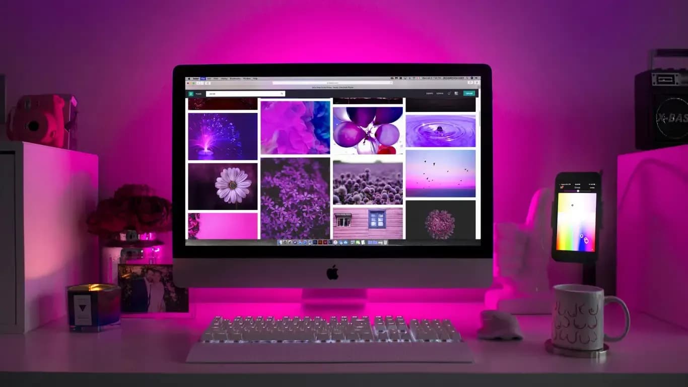 web-tasarim